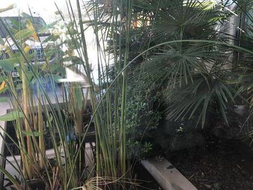 place photo 54