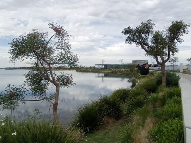 place photo 11