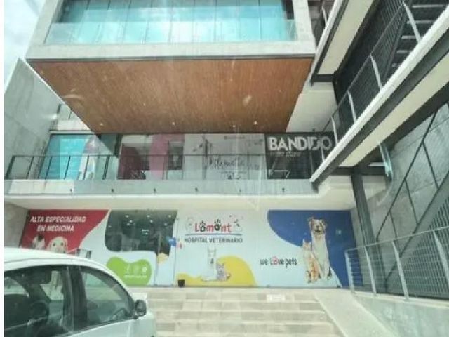 place photo 15