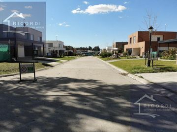 place photo 27