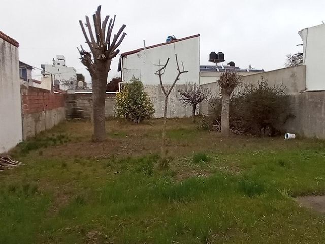 place photo 11