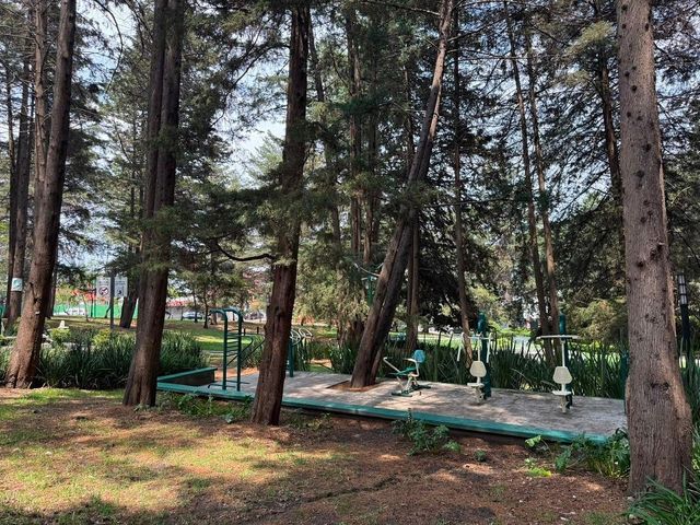 place photo 32