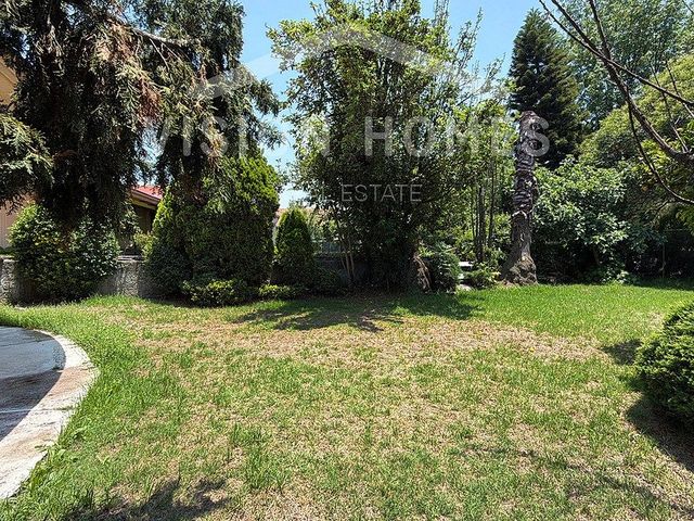 place photo 40