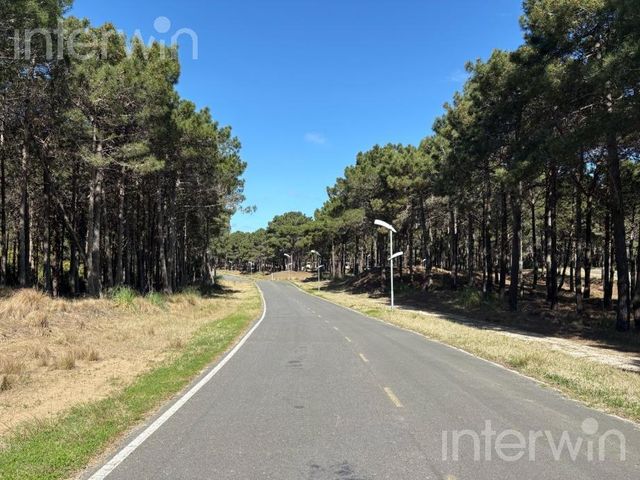 place photo 39