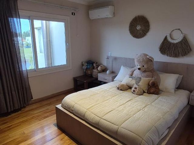 place photo 61