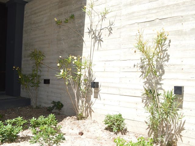 place photo 55