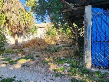 place photo 12