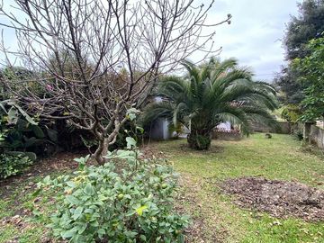 place photo 34