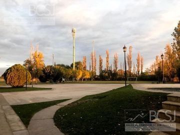 place photo 38