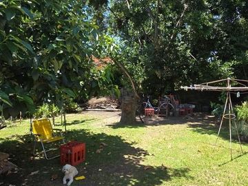 place photo 41