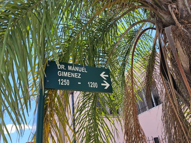 place photo 38