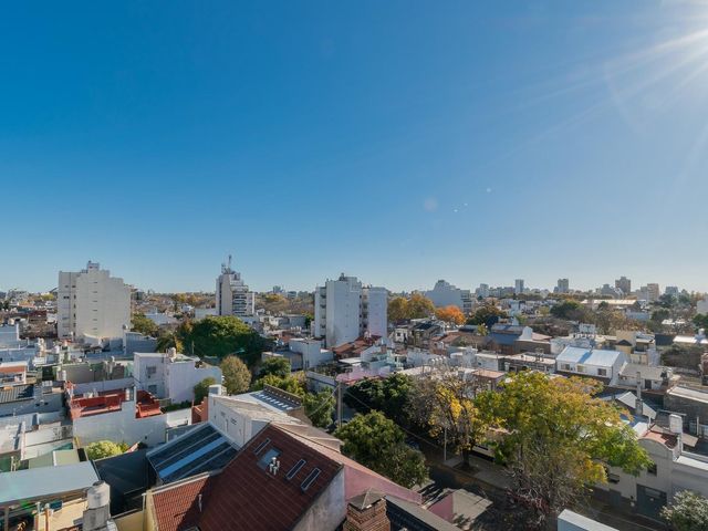place photo 23