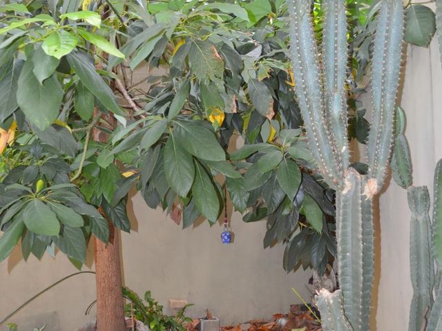 place photo 46