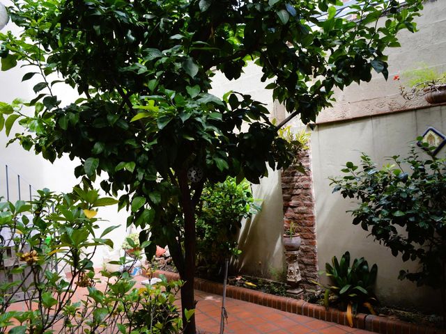 place photo 44
