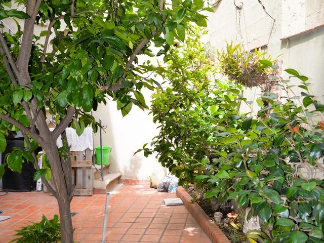 place photo 42