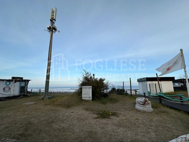 place photo 39