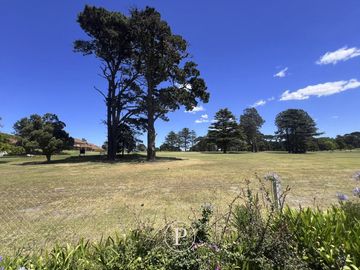 place photo 15