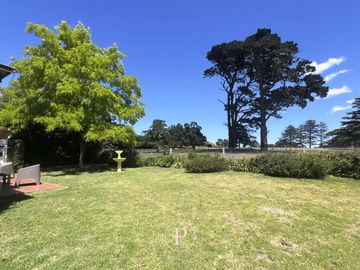 place photo 13