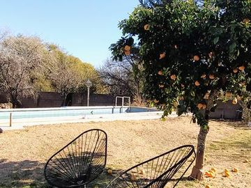 place photo 32