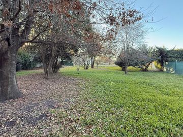 place photo 18