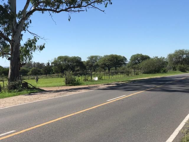 place photo 32