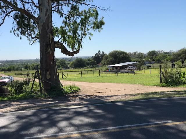 place photo 21