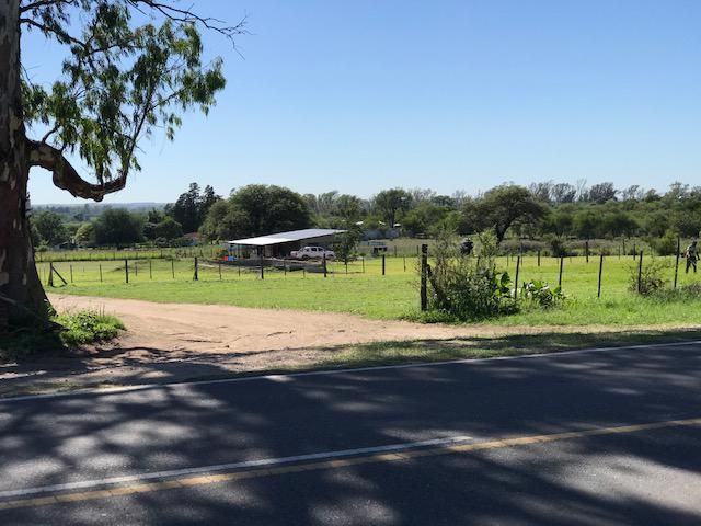 place photo 26