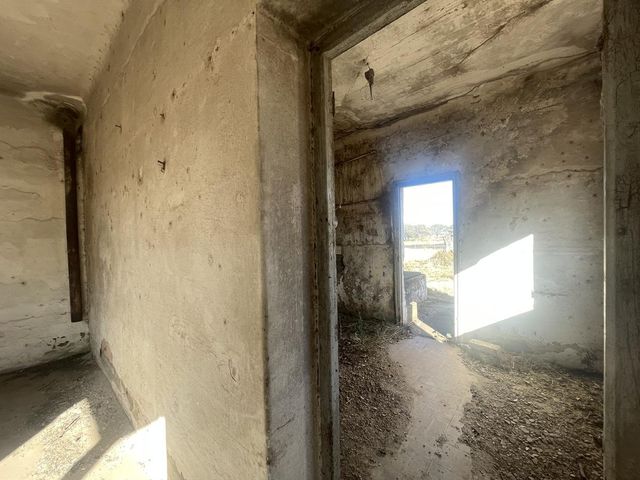 place photo 58