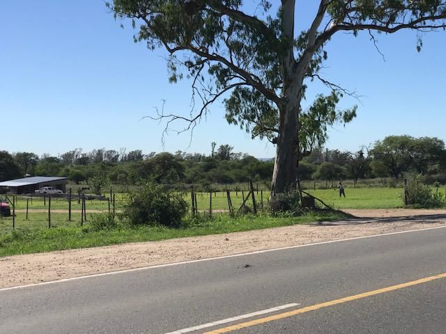 place photo 29