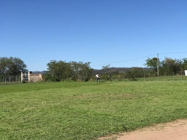 place photo 36