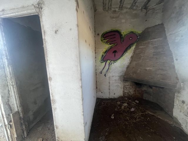 place photo 67