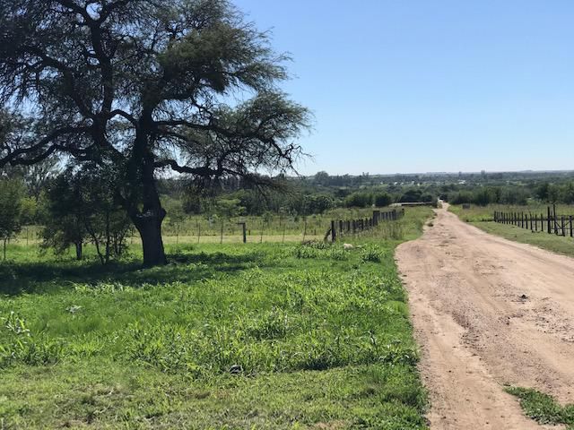 place photo 38