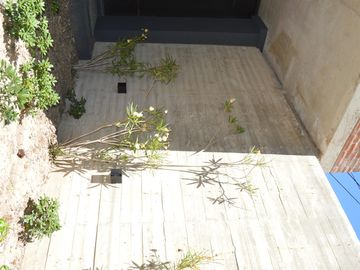 place photo 36