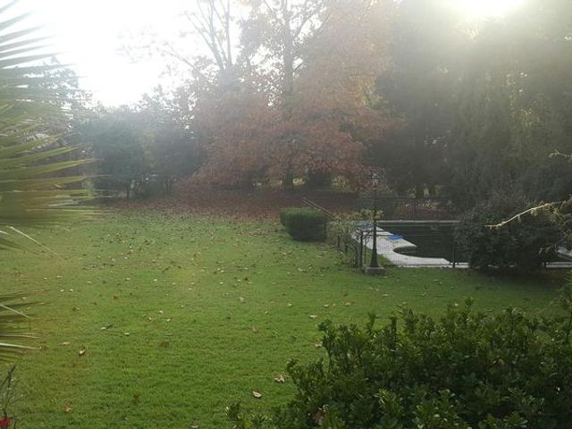 place photo 45