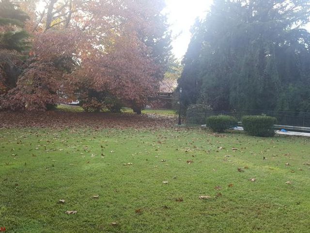 place photo 57