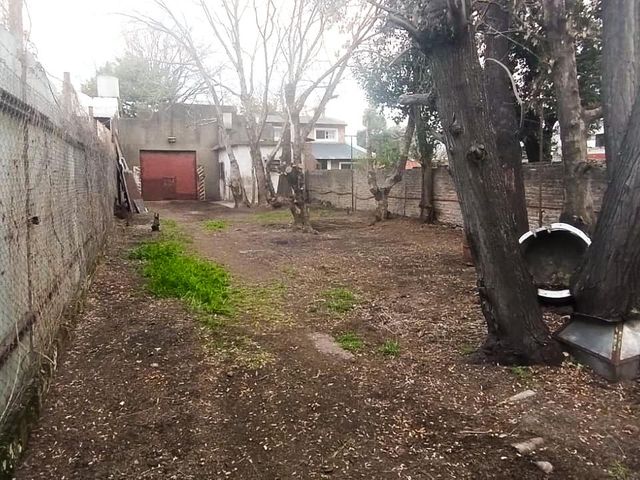 place photo 7