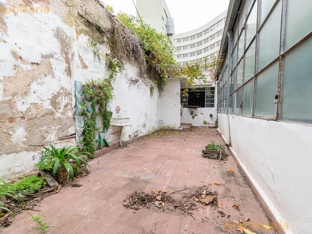 place photo 46