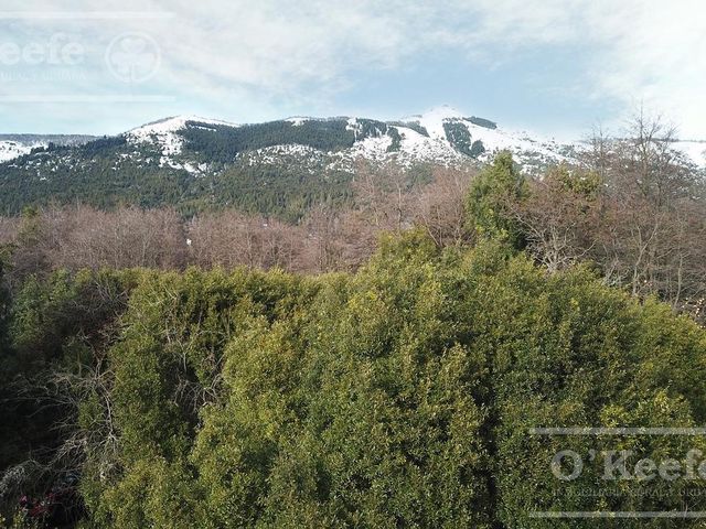 place photo 47