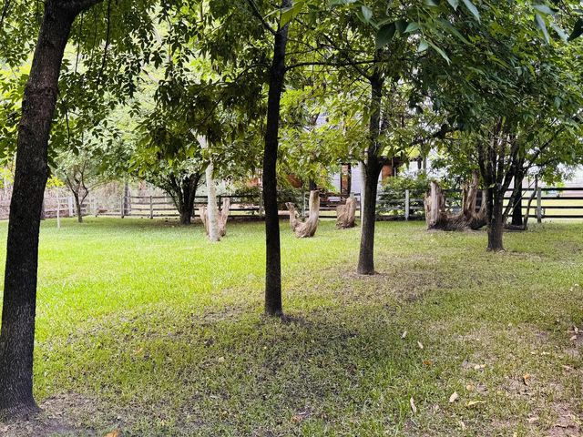 place photo 70