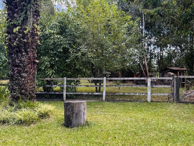 place photo 98