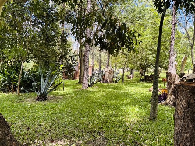 place photo 45