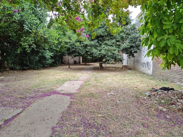 place photo 11