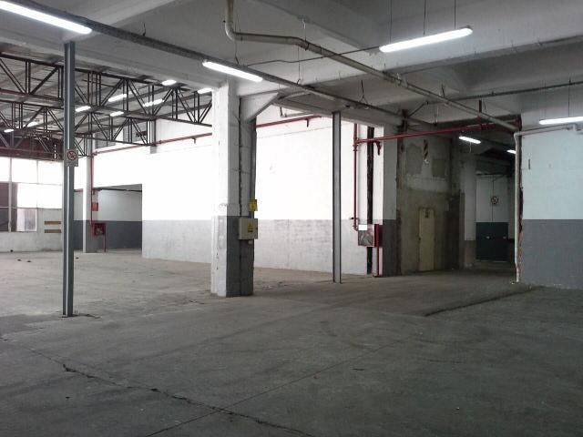 place photo 55