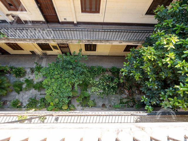 place photo 55