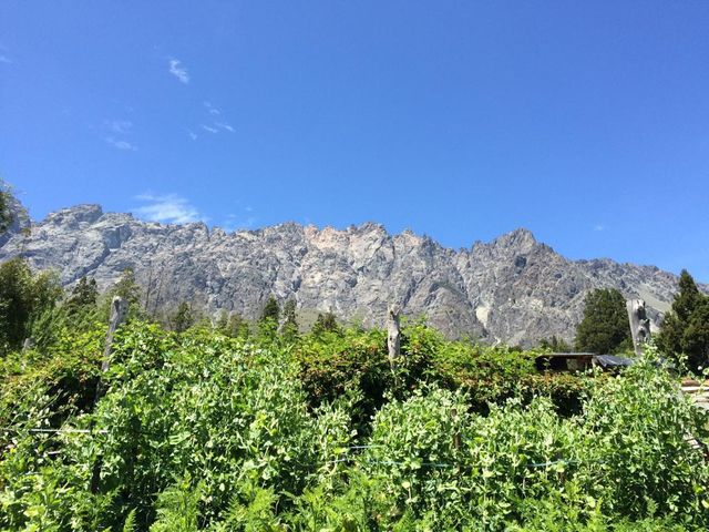 place photo 16