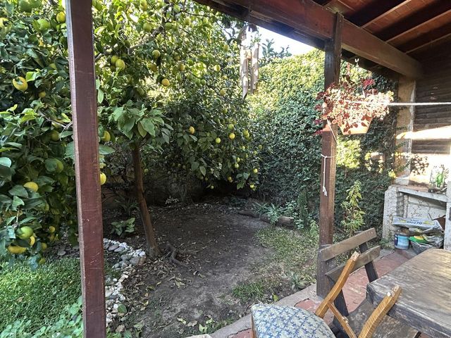 place photo 43