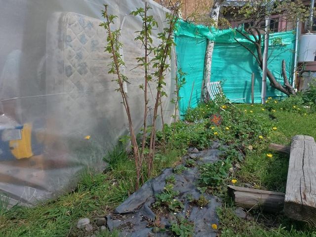 place photo 24