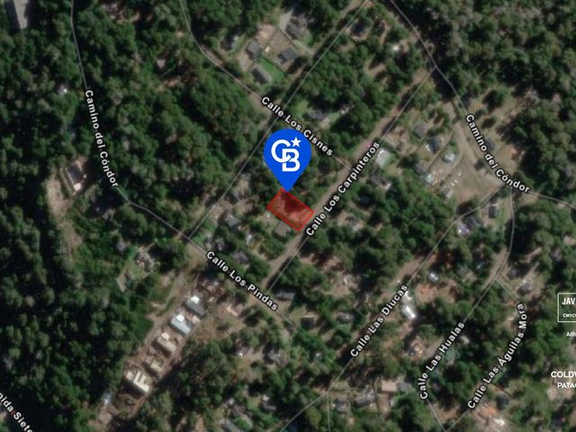 place photo 22