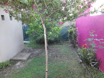 place photo 21