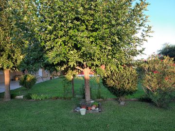 place photo 31
